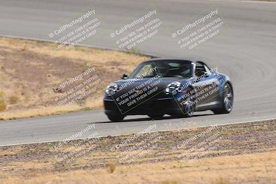 media/Oct-25-2025-West Coast Racing (Sat) [[9fdcbcd09c]]/Novice group/Turn 2/